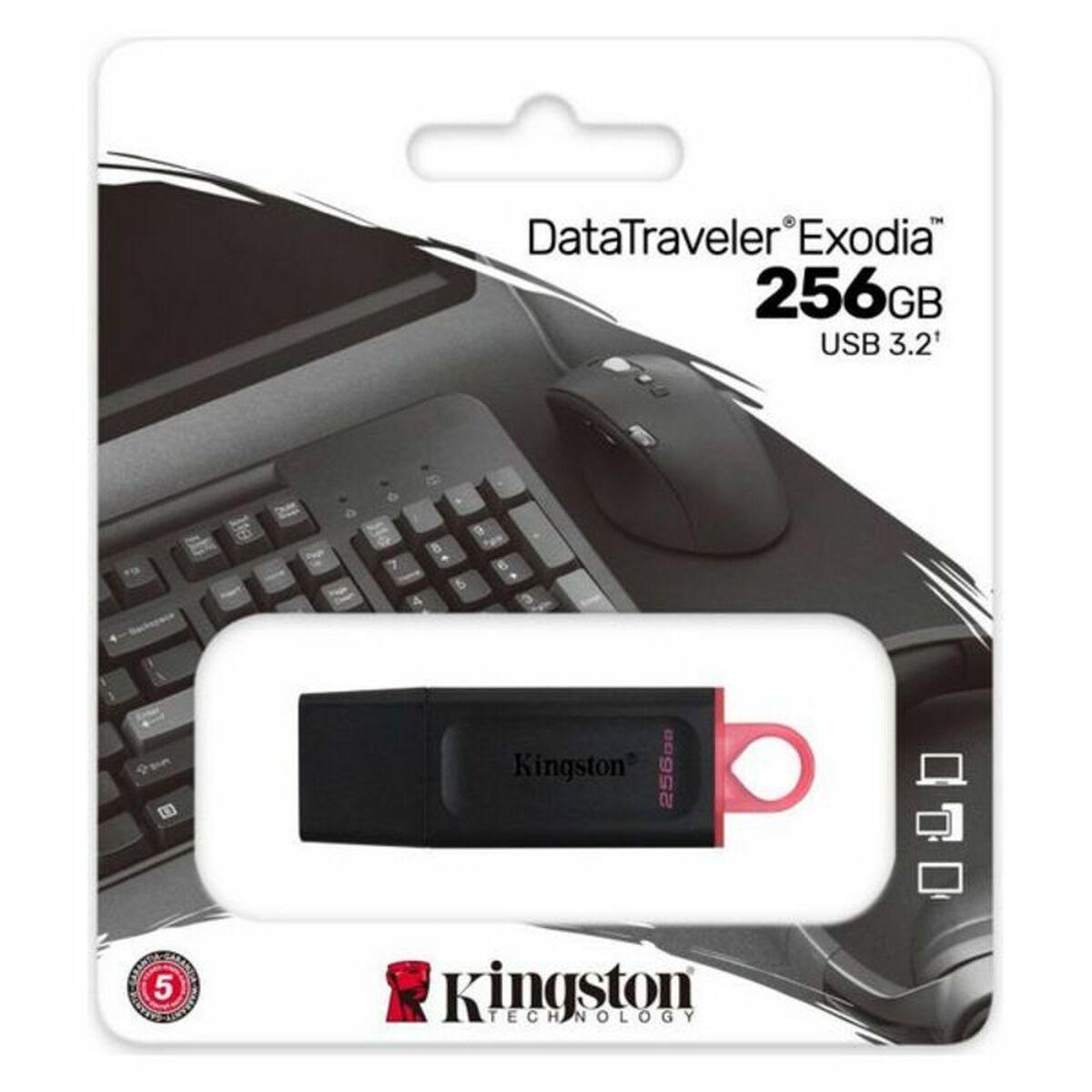 USB stick Kingston DataTraveler DTX Black USB stick - Sterilamo