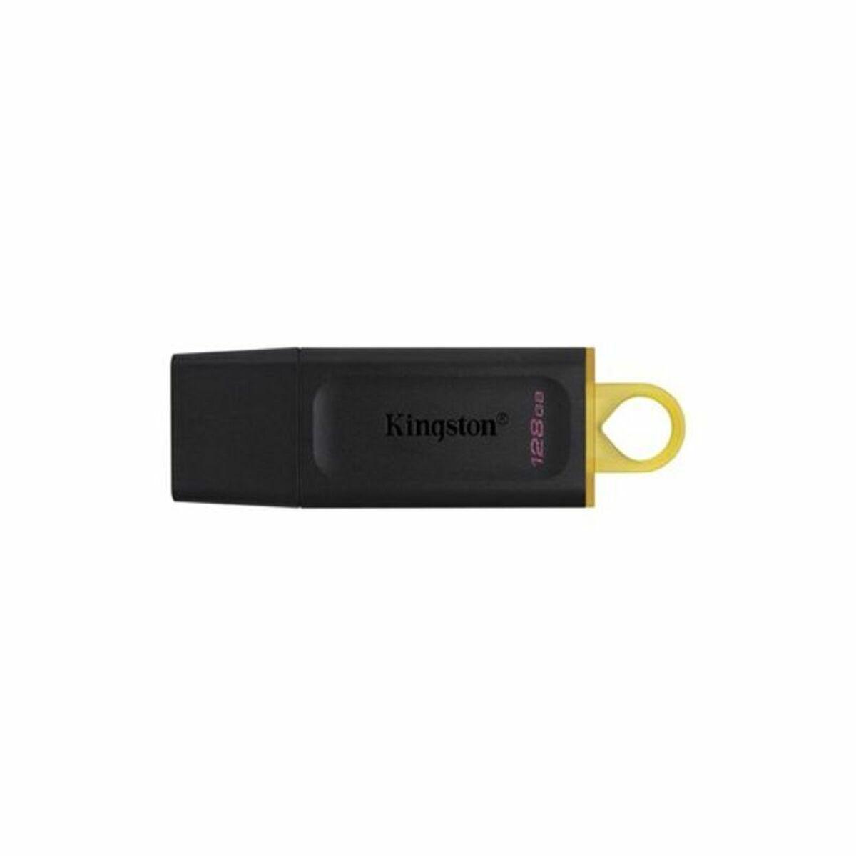 USB stick Kingston DataTraveler DTX Black USB stick - Sterilamo