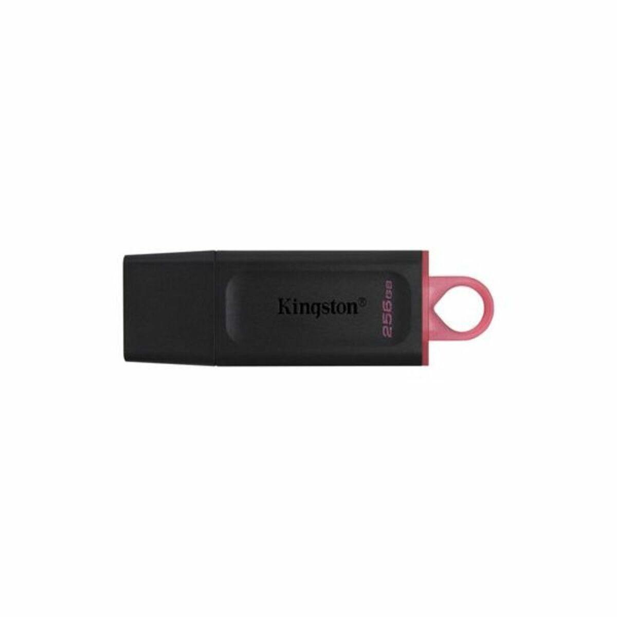 USB stick Kingston DataTraveler DTX Black USB stick - Sterilamo