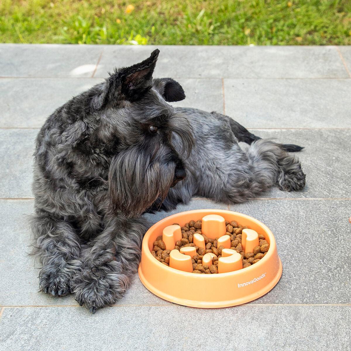 Slow Eating Food Bowl for Pets Slowfi InnovaGoods - Sterilamo