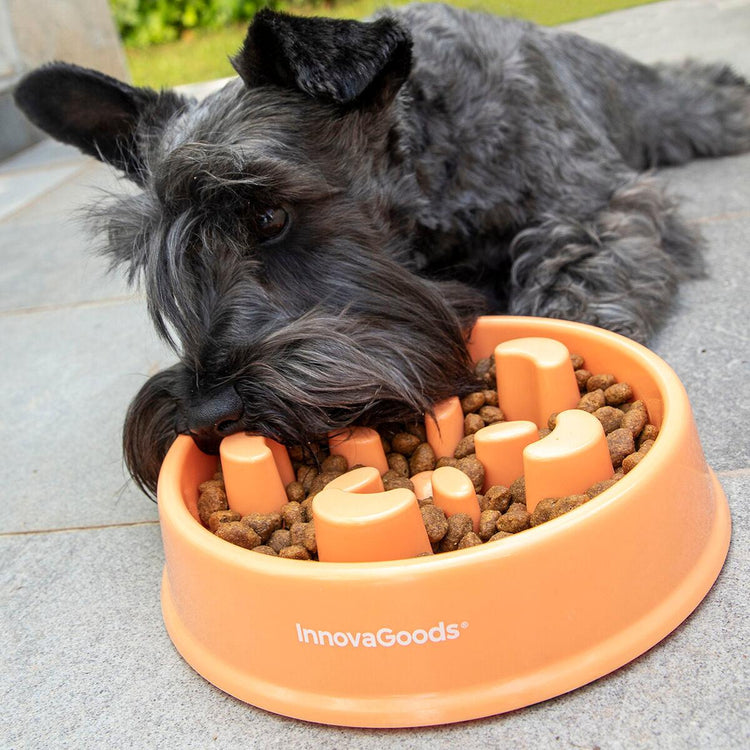 Slow Eating Food Bowl for Pets Slowfi InnovaGoods - Sterilamo