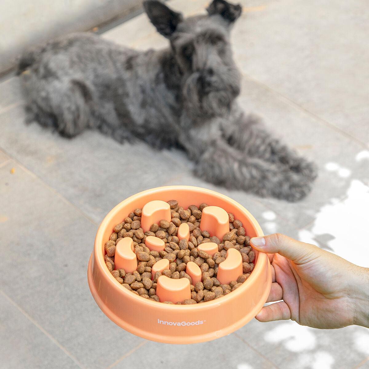 Slow Eating Food Bowl for Pets Slowfi InnovaGoods - Sterilamo